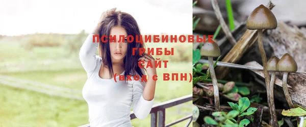 прущая мука Магас