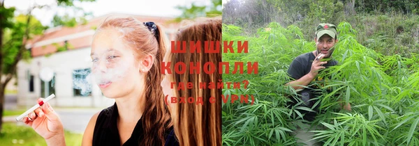 прущая мука Магас
