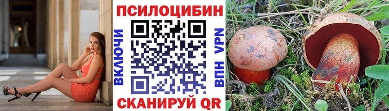 магазин продажи наркотиков  Приволжский  Псилоцибиновые грибы Psilocybe 